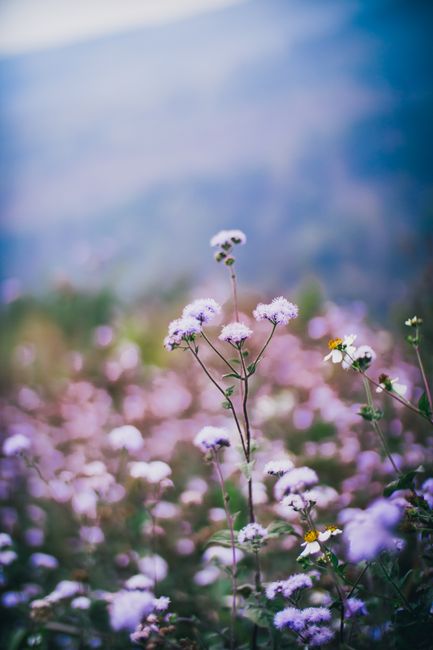 Gratitude