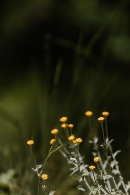 Gratitude