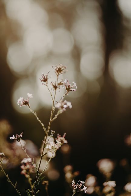 Gratitude