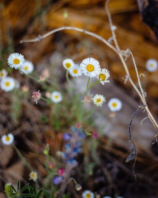 Gratitude Lately: Taking time to appreciate the small moments in life through photography and gratitude. // Playing games