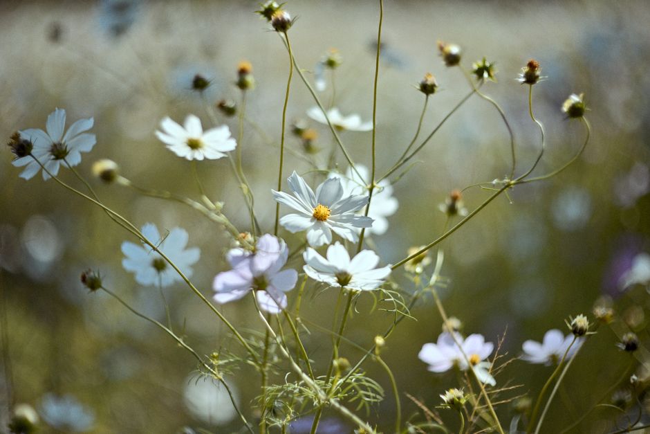 finding beauty friday - ember grey / from: belongwithwildflowers.com